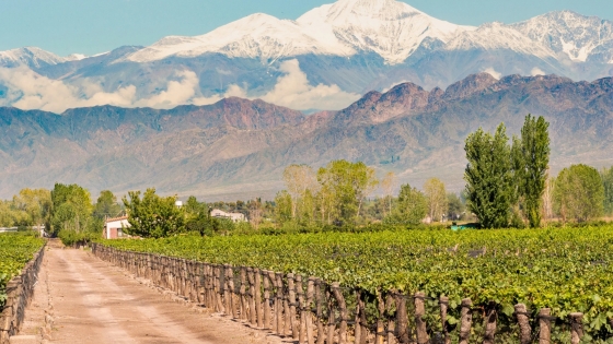 MENDOZA